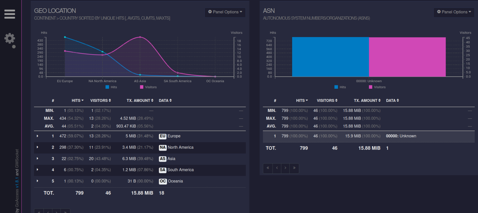 GoAccess HTML report dashboard showing visitor charts, requested URLs, and response code breakdown