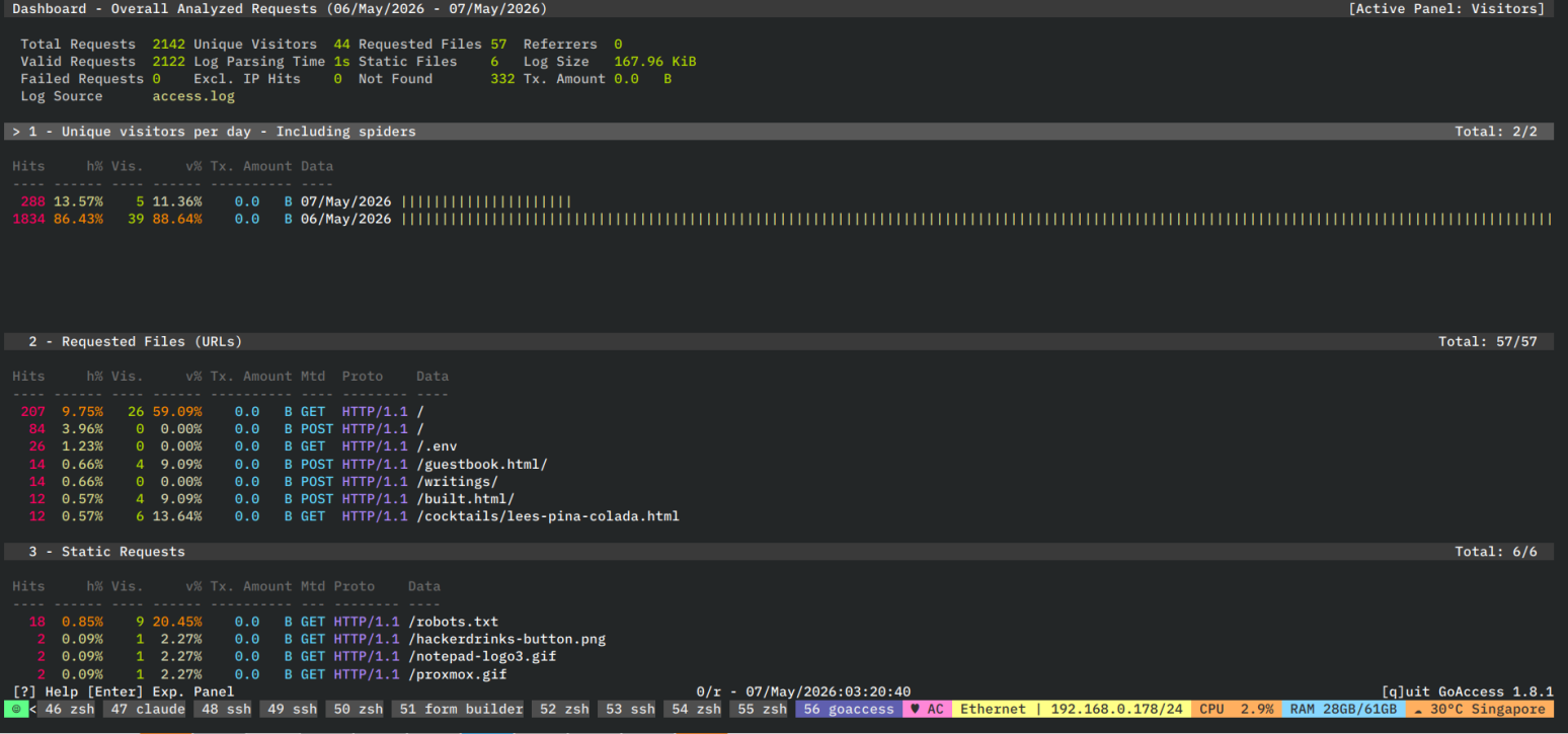 GoAccess terminal dashboard showing real-time visitor stats, request counts, and response code breakdown